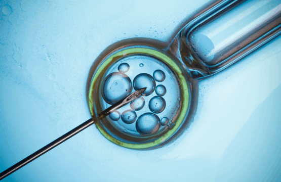 Latest Assisted Reproduction Data