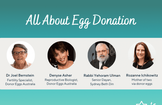 All About Egg Donation